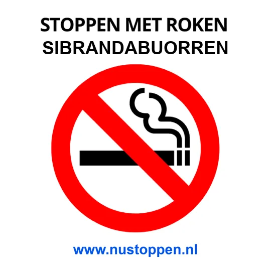 Stoppen met roken Sibrandabuorren